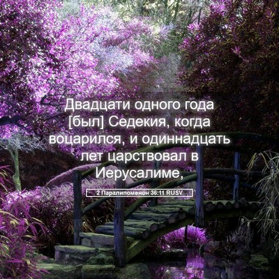 Picture 05 - 2 Паралипоменон 36:11 RUSV - Двадцати одного года [был] - Bible Verse Picture