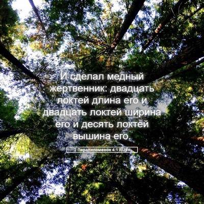 Picture 05 - 2 Паралипоменон 4:1 RUSV - И сделал медный - Bible Verse Picture
