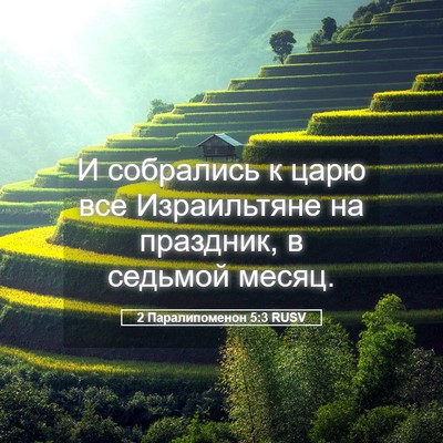 Picture 05 - 2 Паралипоменон 5:3 RUSV - И собрались к царю все - Bible Verse Picture