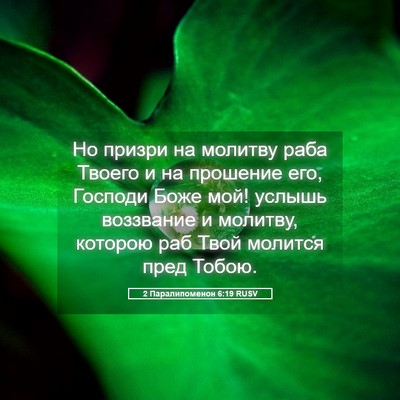 Picture 05 - 2 Паралипоменон 6:19 RUSV - Но призри на молитву раба - Bible Verse Picture
