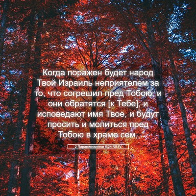 Picture 05 - 2 Паралипоменон 6:24 RUSV - Когда поражен будет народ - Bible Verse Picture