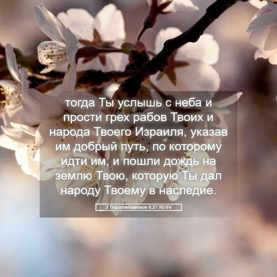 Picture 05 - 2 Паралипоменон 6:27 RUSV - тогда Ты услышь с неба и - Bible Verse Picture