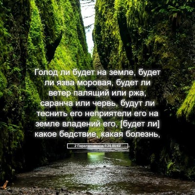 Picture 05 - 2 Паралипоменон 6:28 RUSV - Голод ли будет на земле, - Bible Verse Picture