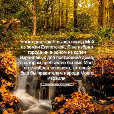 Picture 05 - 2 Паралипоменон 6:5 RUSV - 'с того дня, как Я вывел - Bible Verse Picture