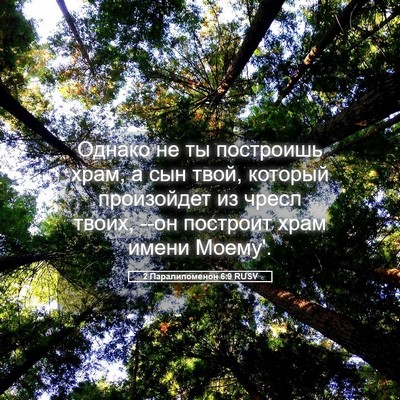Picture 05 - 2 Паралипоменон 6:9 RUSV - Однако не ты построишь - Bible Verse Picture