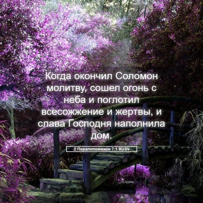 Picture 05 - 2 Паралипоменон 7:1 RUSV - Когда окончил Соломон - Bible Verse Picture