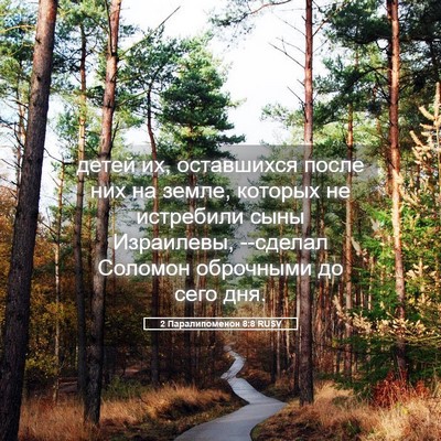 Picture 05 - 2 Паралипоменон 8:8 RUSV - детей их, оставшихся после - Bible Verse Picture