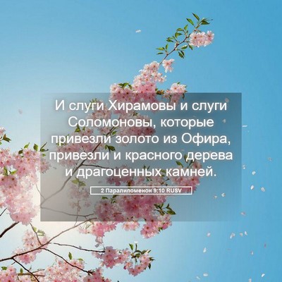 Picture 05 - 2 Паралипоменон 9:10 RUSV - И слуги Хирамовы и слуги - Bible Verse Picture