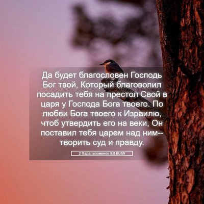 Picture 05 - 2 Паралипоменон 9:8 RUSV - Да будет благословен - Bible Verse Picture