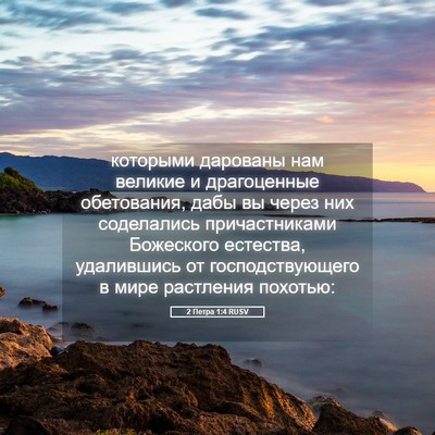Picture 05 - 2 Петра 1:4 RUSV - которыми дарованы нам - Bible Verse Picture