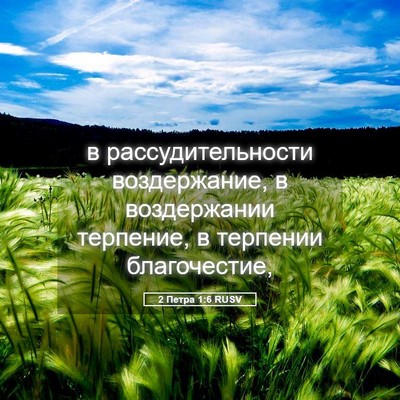 Picture 05 - 2 Петра 1:6 RUSV - в рассудительности - Bible Verse Picture