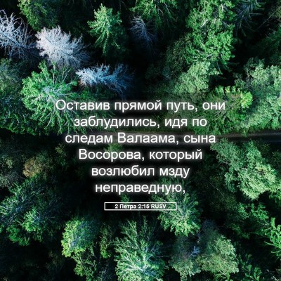 Picture 05 - 2 Петра 2:15 RUSV - Оставив прямой путь, они - Bible Verse Picture