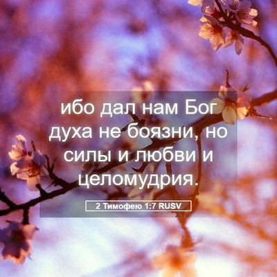 Picture 05 - 2 Тимофею 1:7 RUSV - ибо дал нам Бог духа не - Bible Verse Picture