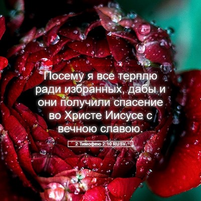 Picture 05 - 2 Тимофею 2:10 RUSV - Посему я все терплю ради - Bible Verse Picture