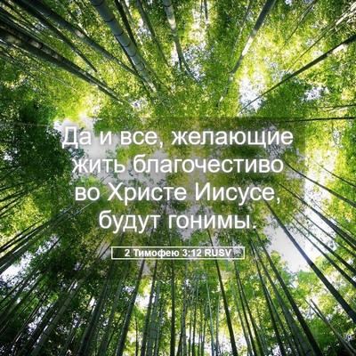 Picture 05 - 2 Тимофею 3:12 RUSV - Да и все, желающие жить - Bible Verse Picture