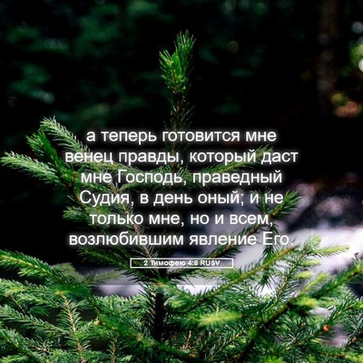 Picture 05 - 2 Тимофею 4:8 RUSV - а теперь готовится мне - Bible Verse Picture