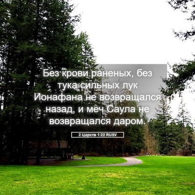 Picture 05 - 2 Царств 1:22 RUSV - Без крови раненых, без тука - Bible Verse Picture