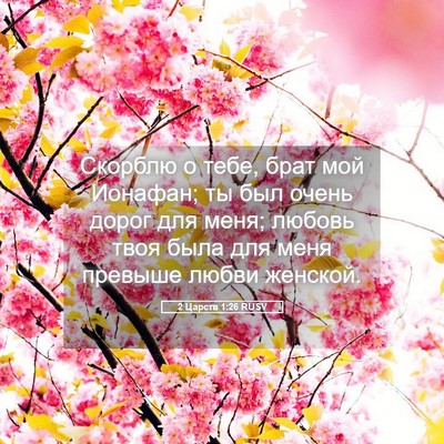 Picture 05 - 2 Царств 1:26 RUSV - Скорблю о тебе, брат мой - Bible Verse Picture