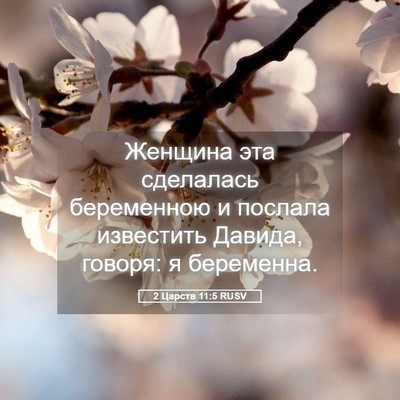 Picture 05 - 2 Царств 11:5 RUSV - Женщина эта сделалась - Bible Verse Picture