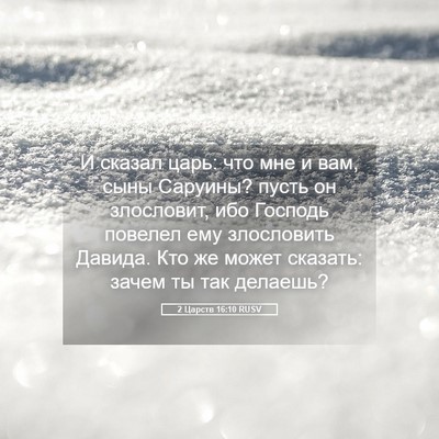 Picture 05 - 2 Царств 16:10 RUSV - И сказал царь: что мне и - Bible Verse Picture