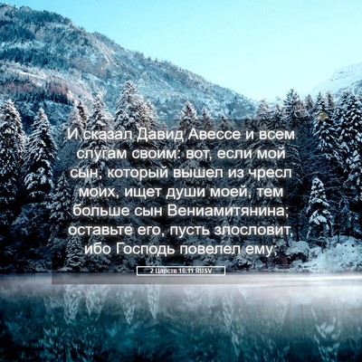 Picture 05 - 2 Царств 16:11 RUSV - И сказал Давид Авессе и - Bible Verse Picture