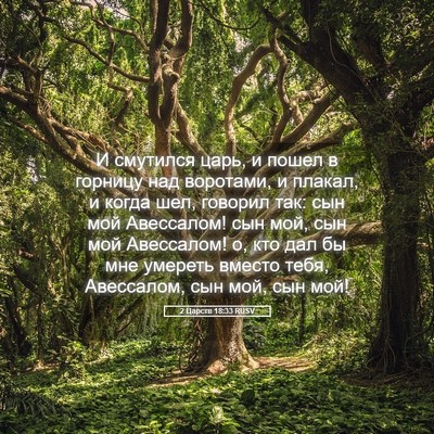 Picture 05 - 2 Царств 18:33 RUSV - И смутился царь, и пошел в - Bible Verse Picture