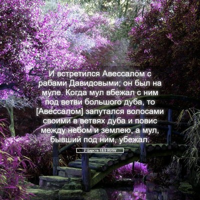 Picture 05 - 2 Царств 18:9 RUSV - И встретился Авессалом с - Bible Verse Picture
