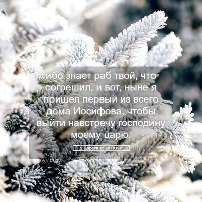 Picture 05 - 2 Царств 19:20 RUSV - ибо знает раб твой, что - Bible Verse Picture
