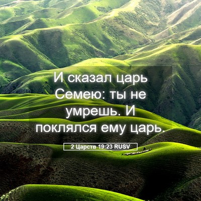 Picture 05 - 2 Царств 19:23 RUSV - И сказал царь Семею: ты не - Bible Verse Picture