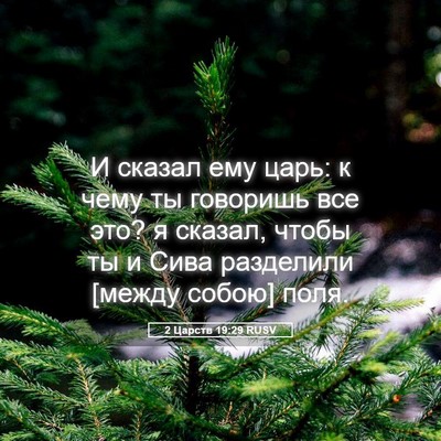 Picture 05 - 2 Царств 19:29 RUSV - И сказал ему царь: к чему ты - Bible Verse Picture