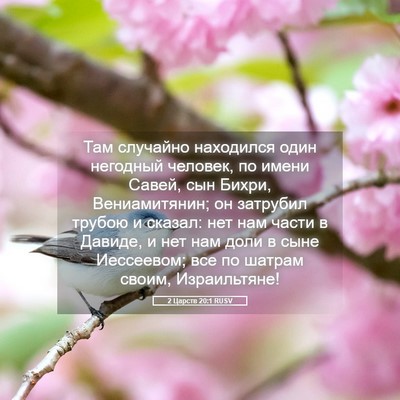 Picture 05 - 2 Царств 20:1 RUSV - Там случайно находился - Bible Verse Picture