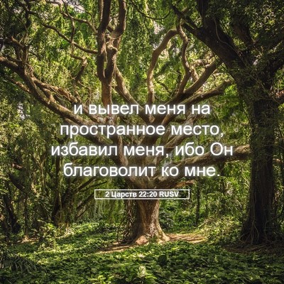 Picture 05 - 2 Царств 22:20 RUSV - и вывел меня на - Bible Verse Picture