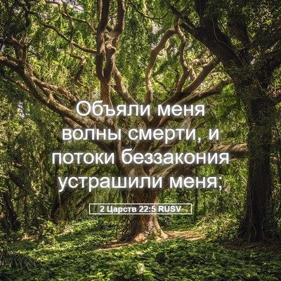 Picture 05 - 2 Царств 22:5 RUSV - Объяли меня волны смерти, и - Bible Verse Picture