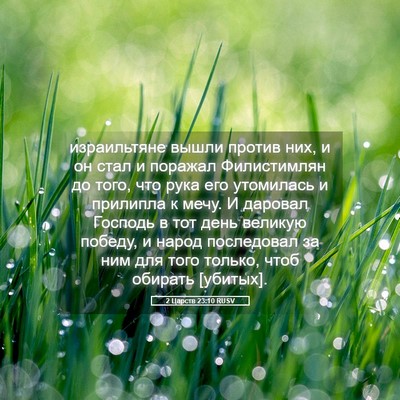 Picture 05 - 2 Царств 23:10 RUSV - израильтяне вышли против - Bible Verse Picture