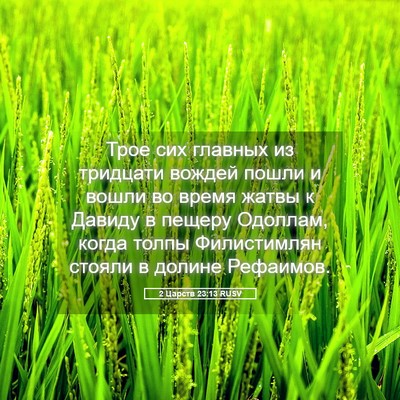 Picture 05 - 2 Царств 23:13 RUSV - Трое сих главных из - Bible Verse Picture