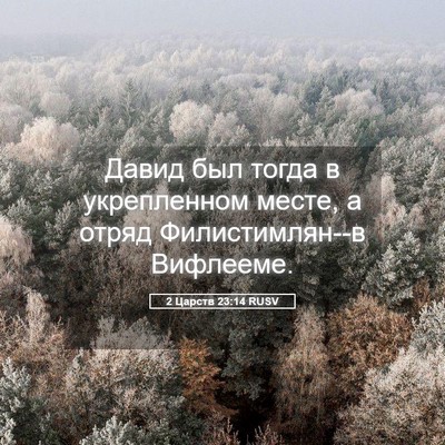 Picture 05 - 2 Царств 23:14 RUSV - Давид был тогда в - Bible Verse Picture