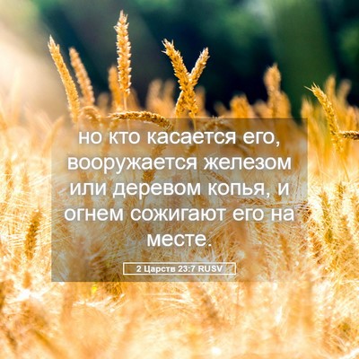 Picture 05 - 2 Царств 23:7 RUSV - но кто касается его, - Bible Verse Picture