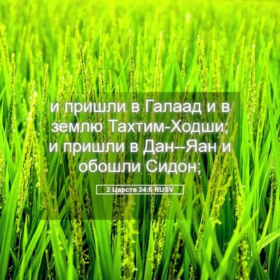Picture 05 - 2 Царств 24:6 RUSV - и пришли в Галаад и в землю - Bible Verse Picture