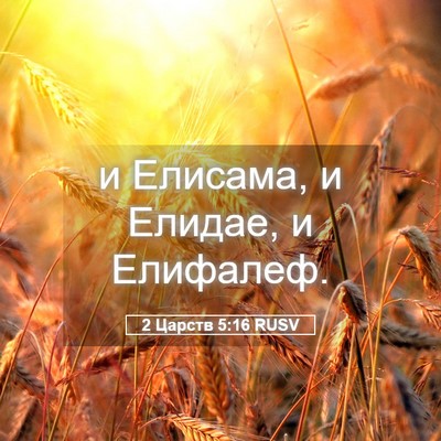 Picture 05 - 2 Царств 5:16 RUSV - и Елисама, и Елидае, и - Bible Verse Picture