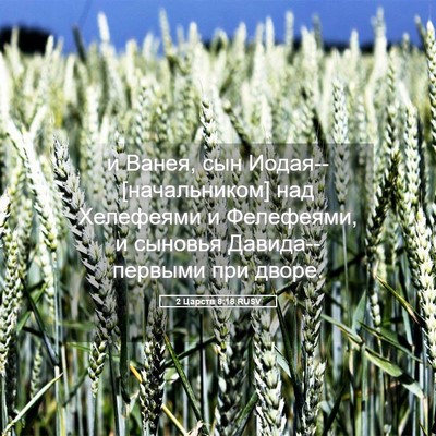 Picture 05 - 2 Царств 8:18 RUSV - и Ванея, сын - Bible Verse Picture