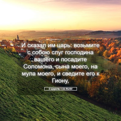 Picture 05 - 3 Царств 1:33 RUSV - И сказал им царь: возьмите - Bible Verse Picture