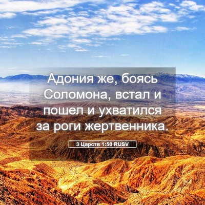 Picture 05 - 3 Царств 1:50 RUSV - Адония же, боясь Соломона, - Bible Verse Picture