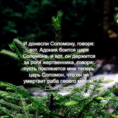 Picture 05 - 3 Царств 1:51 RUSV - И донесли Соломону, говоря: - Bible Verse Picture