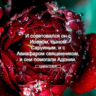 Picture 05 - 3 Царств 1:7 RUSV - И советовался он с Иоавом, - Bible Verse Picture