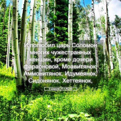 Picture 05 - 3 Царств 11:1 RUSV - И полюбил царь Соломон - Bible Verse Picture