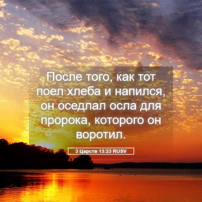Picture 05 - 3 Царств 13:23 RUSV - После того, как тот поел - Bible Verse Picture