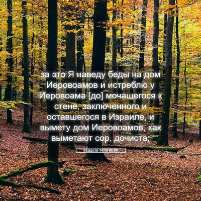 Picture 05 - 3 Царств 14:10 RUSV - за это Я наведу беды на дом - Bible Verse Picture