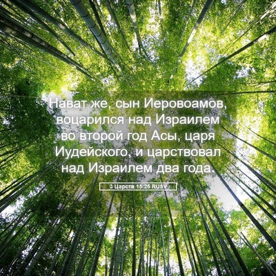 Picture 05 - 3 Царств 15:25 RUSV - Нават же, сын Иеровоамов, - Bible Verse Picture
