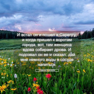 Picture 05 - 3 Царств 17:10 RUSV - И встал он и пошел в - Bible Verse Picture