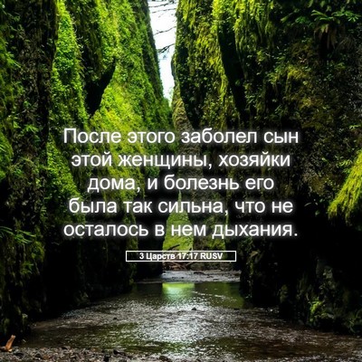Picture 05 - 3 Царств 17:17 RUSV - После этого заболел сын - Bible Verse Picture